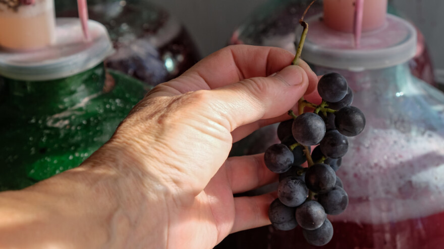 Kako se pravi vermut - nekada su ga smatrali ljekovitim?