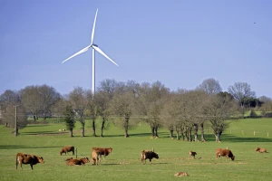 Više od 100 miliona eura za projekte unaprijeđenja zelene i klimatski neutralne Europe