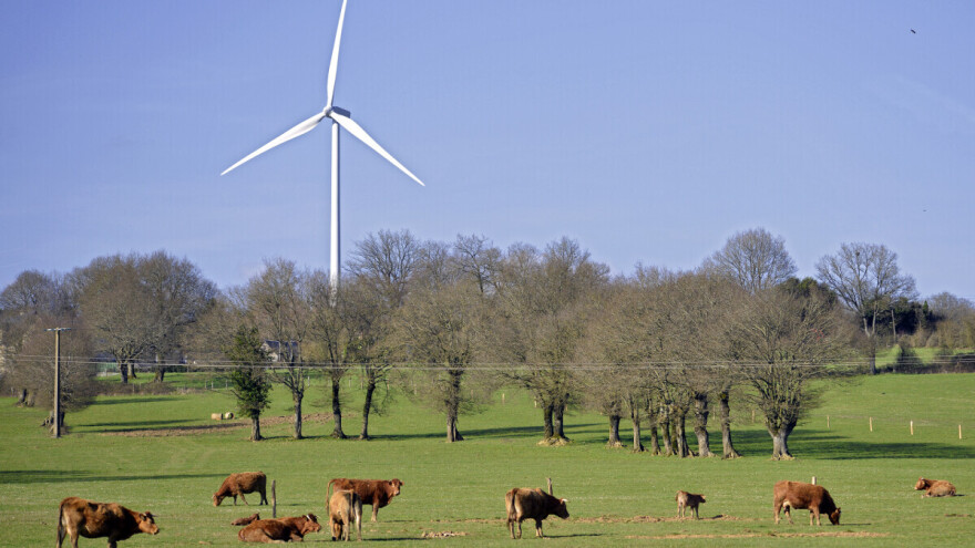 Više od 100 miliona eura za projekte unaprijeđenja zelene i klimatski neutralne Europe