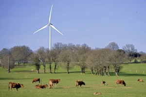 Više od 100 milijuna eura za projekte promicanja zelene i klimatski neutralne Europe