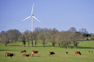 Više od 100 milijuna eura za projekte promicanja zelene i klimatski neutralne Europe