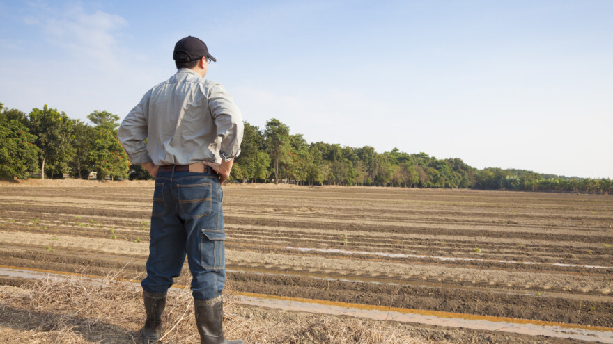 Poljoprivrednici na sigurnom: ZPP se nakon 2020. odlaže za još dve godine