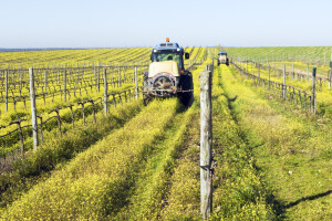 Zatražite produženje valjanosti iskaznica za rad s pesticidima!