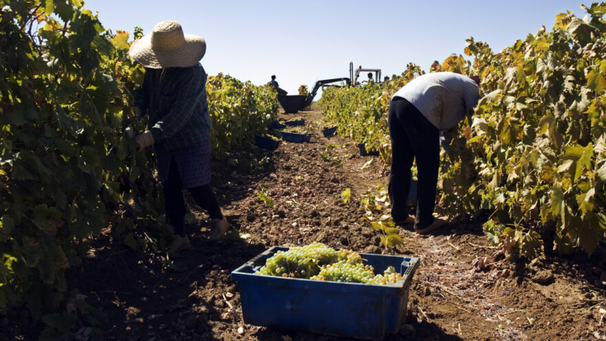 Najvažnije izmene Pravilnika o IPARD podsticajima za investicije u fizičku imovinu