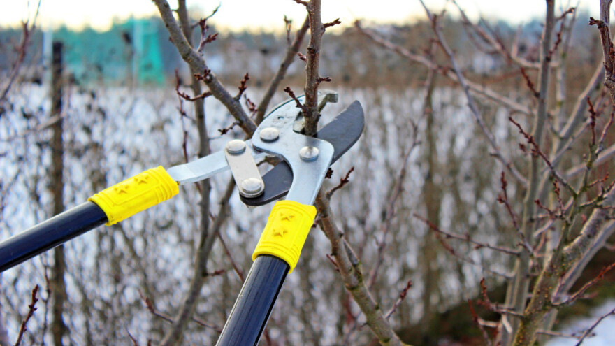Prijavite se za besplatnu Školu rezidbe do kraja siječnja