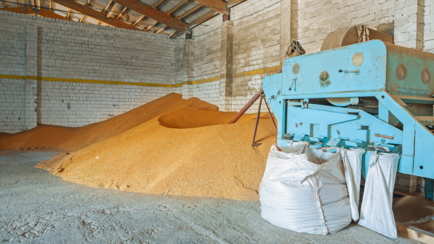 Pad cene kukuruza i pšenice na Produktnoj berzi