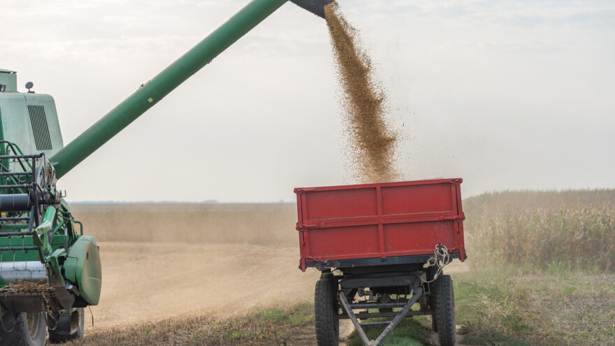 Objavljena procjena prinosa kukuruza, suncokreta, soje i šećerne repe