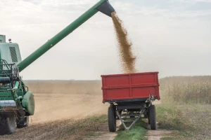 Cena soje ovogodišnjeg roda na Produktnoj berzi 80,5 dinara za kilogram