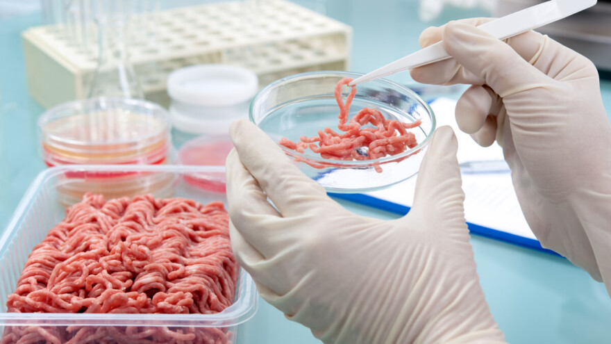 Kontrola mesa na trihinelozu opada