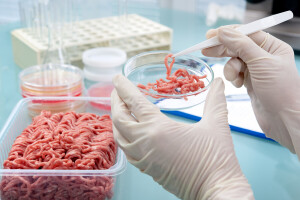 HACCP ne smije biti "mrtvo slovo" na papiru