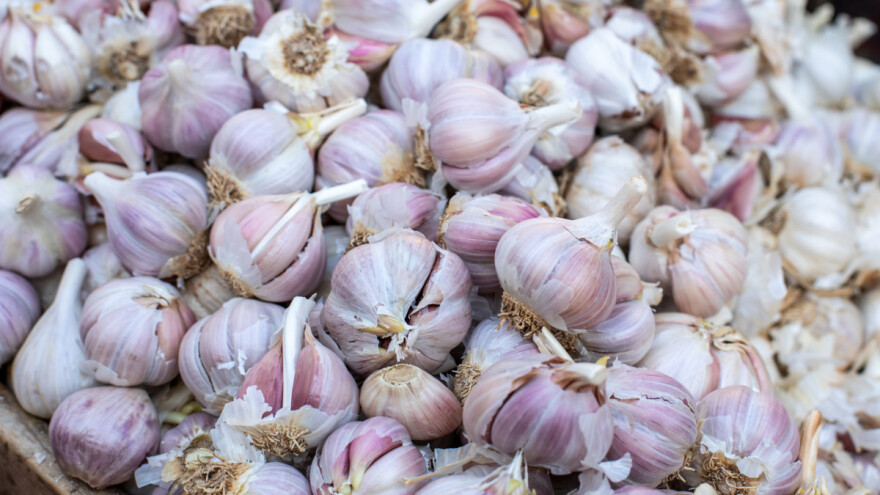 Upitna proizvodnja češnjaka - odakle će se i kakav uvoziti?