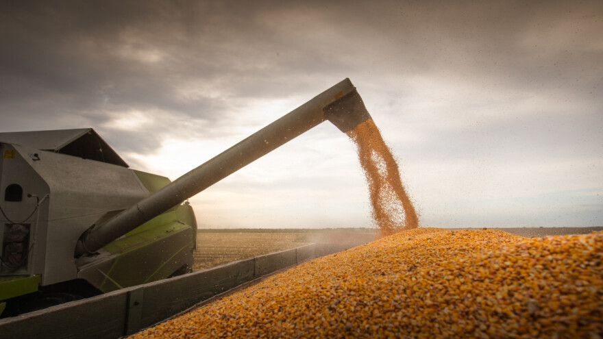 Zbog jeftinih žitarica i mesa cijene hrane pale na najnižu razinu u gotovo tri godine