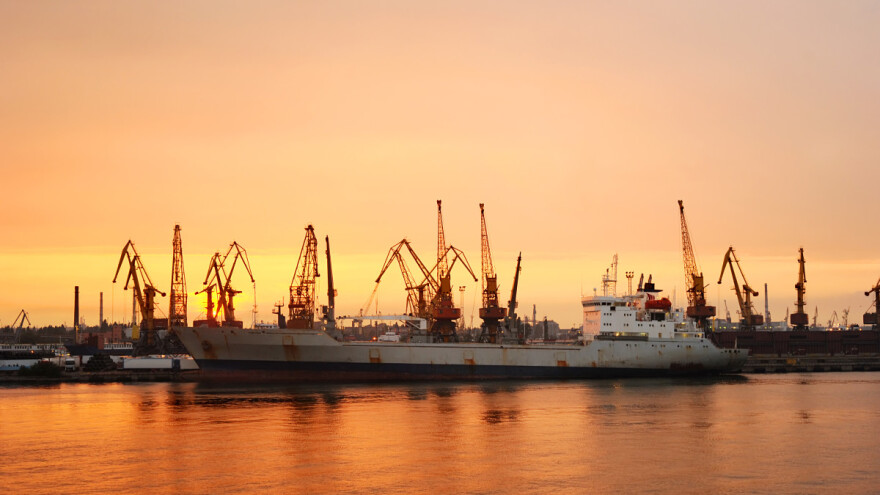 Ukrajina zatvorila luke, upitna globalna opskrba žitaricama i uljaricama