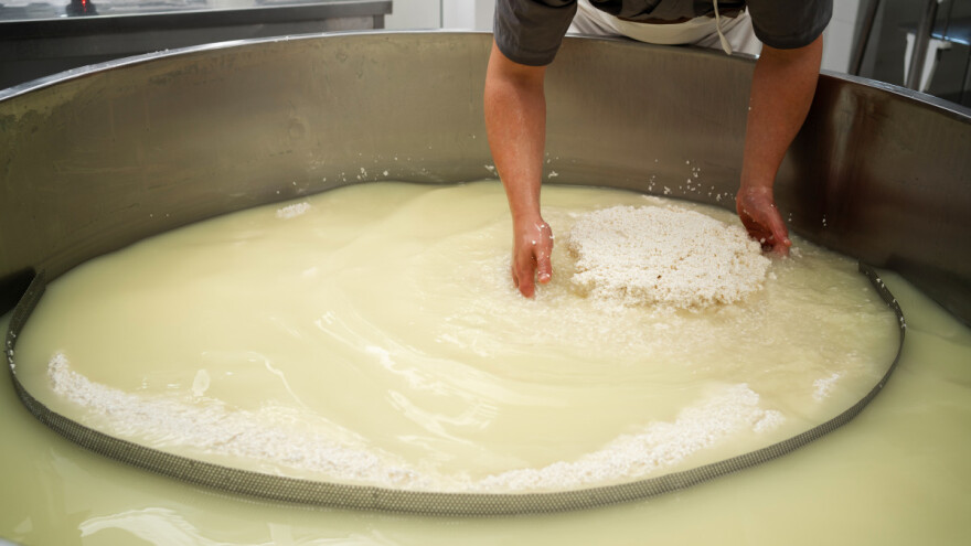 Koliko sirovog mlijeka je proizvela EU 2022. godine i gdje je završilo?