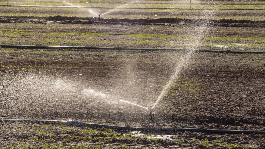 Pokrajina za navodnjavanje izdvojila 340 miliona dinara
