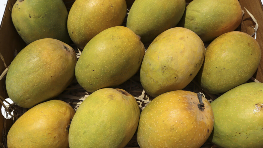 Brazilski mango zaustavljen na bh. granici zbog pesticida