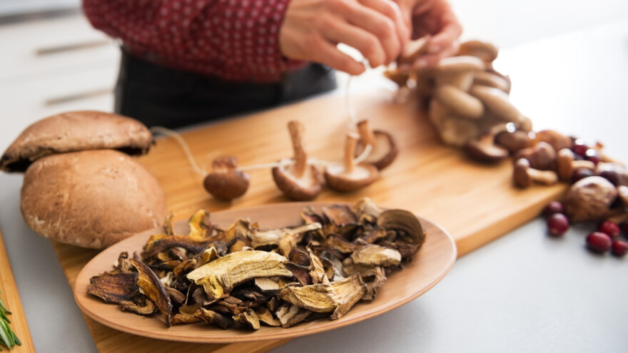 Sušenje gljiva na suncu, u rerni ili dehidratoru?