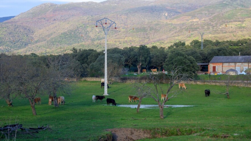 "Udara" drugo džemre, voda više neće mrznuti