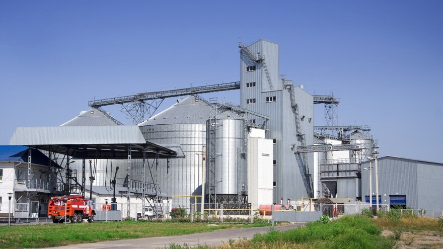 Ukrajina i dalje među pet najvećih svetskih proizvođača raži