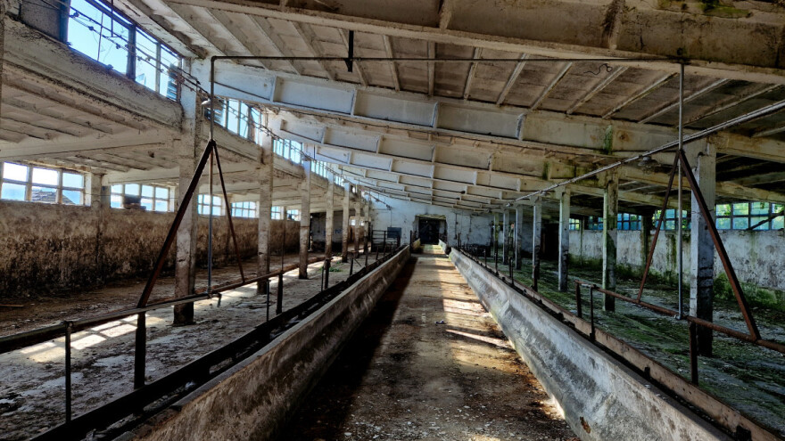 Do 21. marta na snazi zabrana ponovnog useljavanja svinja u farme