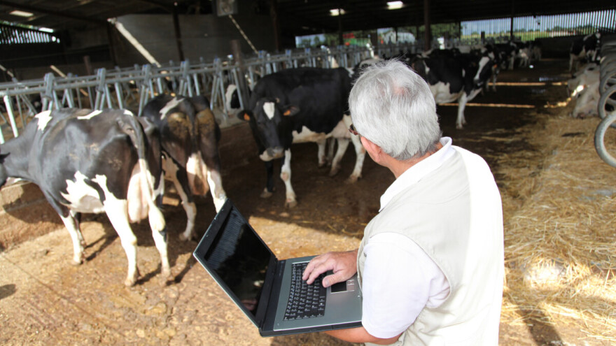 Samo tri kantona dostavila zahtjeve za isplatu federalnih podrški proizvođačima mlijeka