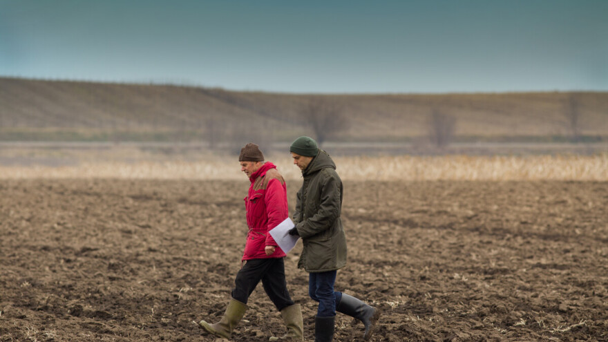 Narednih dana "zubato sunce" - sledeće nedelje susnežica i sneg