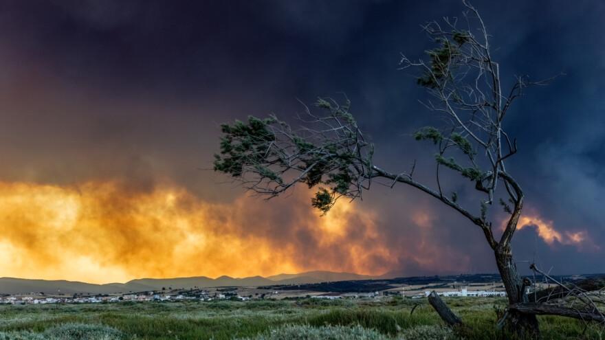 Kako sve šumski požari štete usjevima? Najugroženiji su mali poljoprivrednici