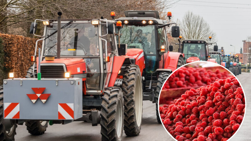 Zašto srpski poljoprivrednici bacaju svoje proizvode - gde je ključ problema