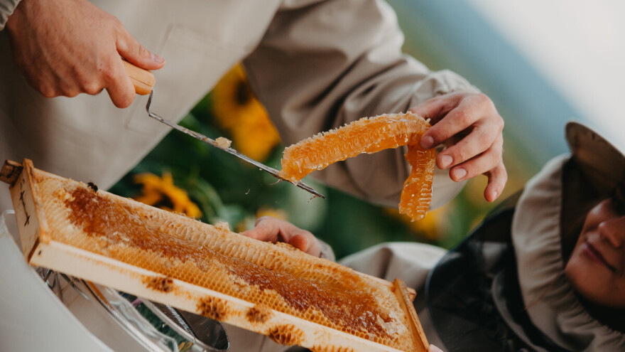 Radite suvenire na bazi meda i drugih pčelinjih proizvoda? Prijavite ih na ocjenjivanje!