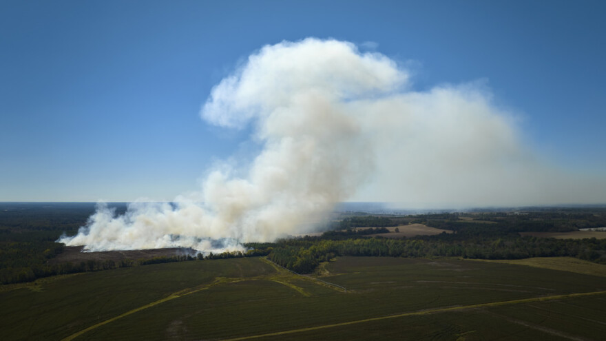 Ekocid: Zločin protiv okoliša u Evropskoj uniji postaje krivično djelo posebne težine?