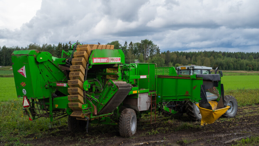 Ostao u zemlji, 2023. najgora za krumpir u posljednjih 25 godina