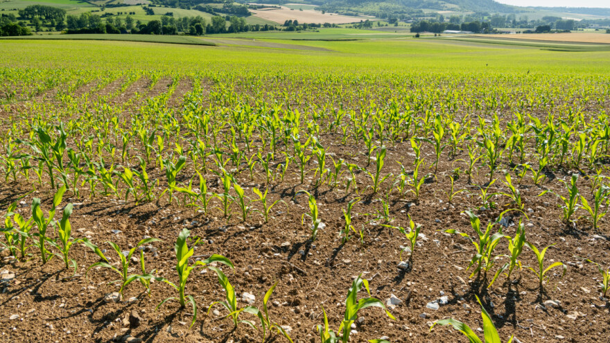 Zabrinjavajuće: Ubrzano pada nivo podzemnih voda - dva su najvažnija faktora