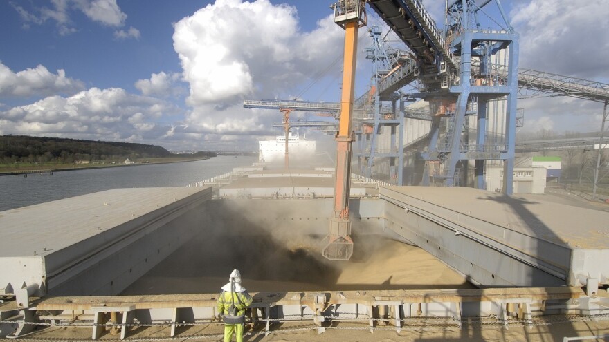 Hoće li cijene žitarica nastaviti pad u 2024.?