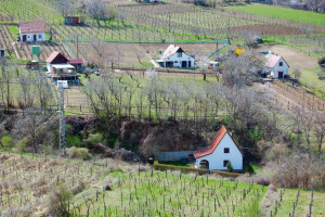 More podataka: Europska komisija pokrenula novi portal o poljoprivredi
