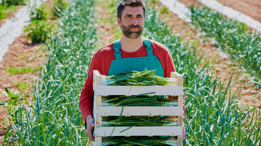 Nove odluke u ZPP-u: Eko poljoprivredi i zaštiti šuma 20% ukupnog proračuna
