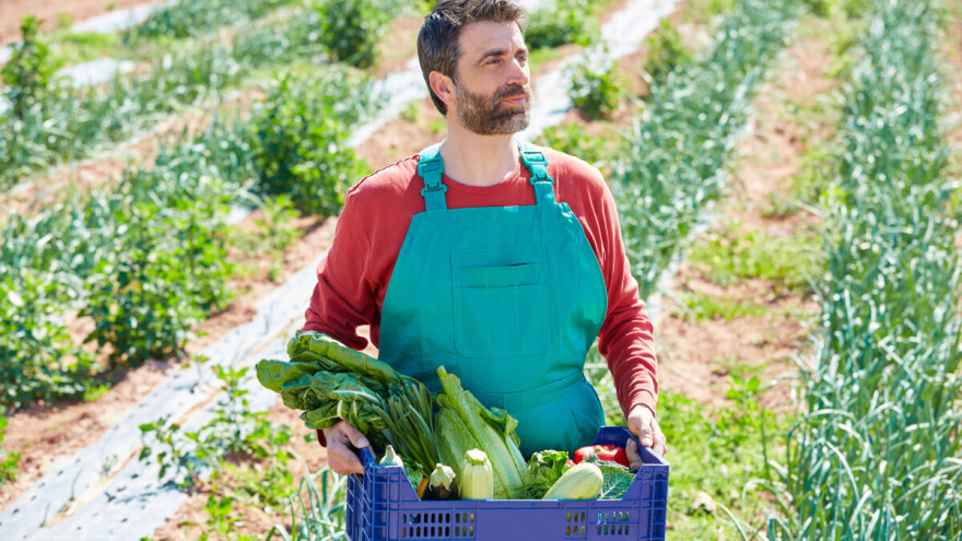 Može li strategija "od farme do vilice" spasiti poljoprivredu EU?