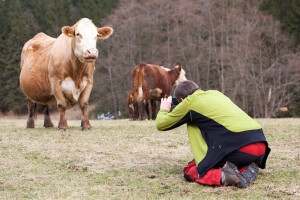 Studenti raspisali fotokonkurs "Poljoprivreda kroz objektiv"