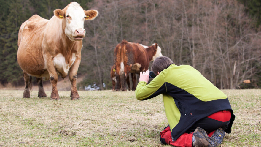 Studenti raspisali fotokonkurs "Poljoprivreda kroz objektiv"