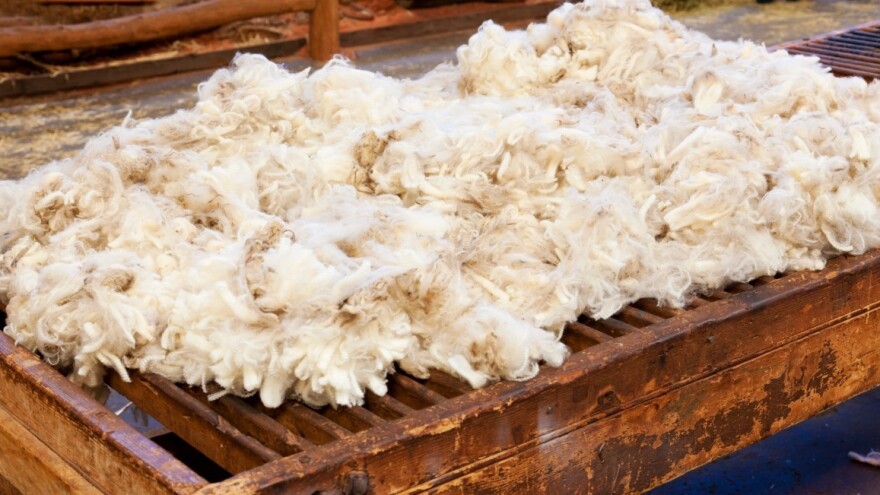 Vuna se može iskoristiti u vrtlarstvu i kao đubrivo - kako to rade u susjedstvu?