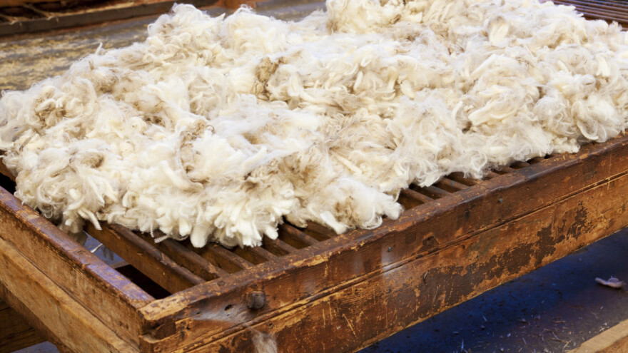 Srbija dobila Nacionalni dan vune: Potreba za malim perionicama