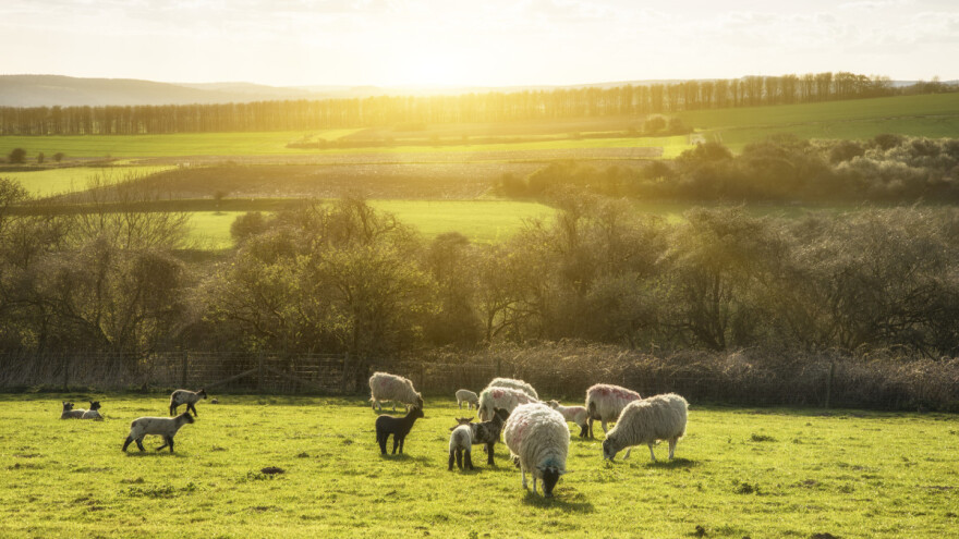 Objavljena prognoza za proljeće - kada se očekuju mrazevi?
