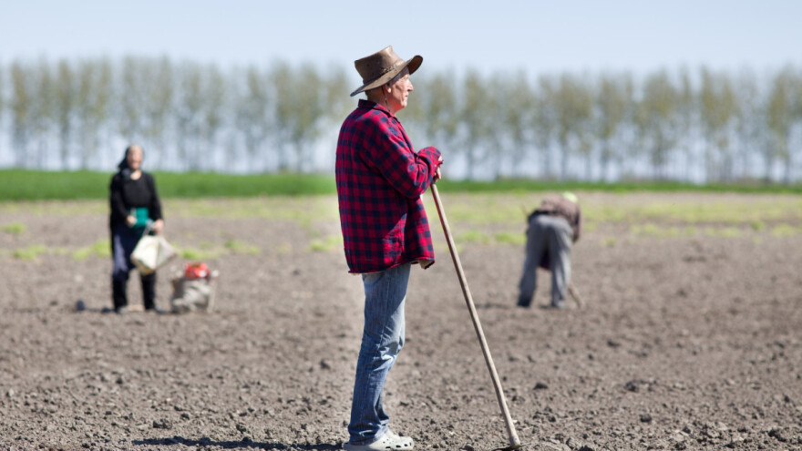 Šta je izolacija, samoizolacija, a šta karantin - pojmovi u vezi sa korona virusom