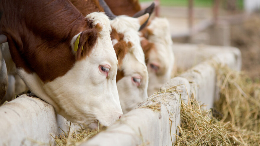 Proizvođačkim organizacijama 10 milijuna kuna, nacrt natječaja u javnom savjetovanju