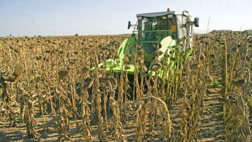 Neuobičajeno slab promet robe na Novosadskoj berzi