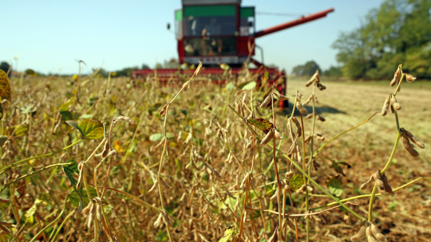 Razvijaju se nova tržišta - traži se Non-GMO soja