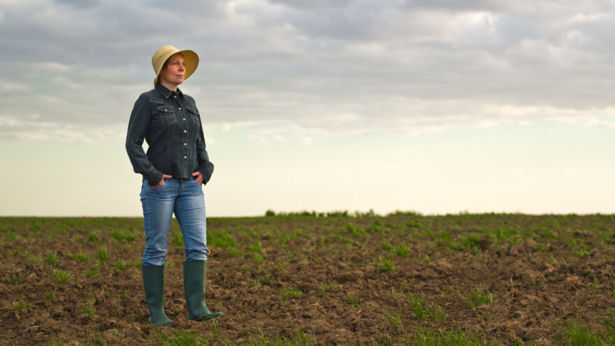 Oglasi za zakup državnog poljoprivrednog zemljišta u pet opština Srbije