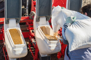 Farmeri oduševljeno dočekali povećanje proizvodnje biljnih proteina