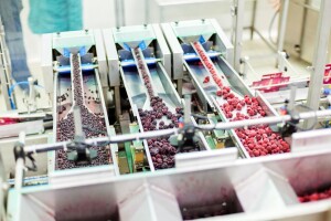 Produženi rokovi prijava na tri poziva za podršku poljoprivrednicima