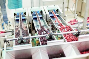 Prijavite se za program podrške izvoza voća i povrća na tržište Velike Britanije