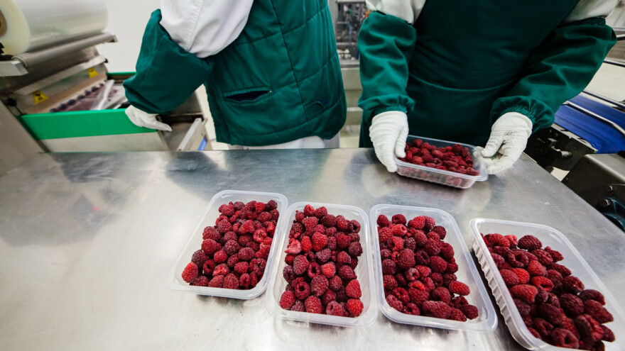 Kako se kineske smrznute maline prodaju kao ekološki proizvodi iz Čilea?